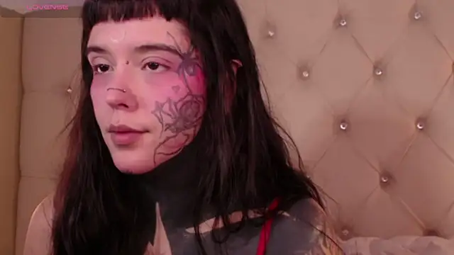 Snapshot of SylveonFox chatting on December 24, 2024, 1:17 pm SylveonFox online show from December 24, 2024, 1:17 pm