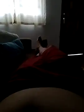 Jospauzudo  online show from January 14, 2025, 9:56 am