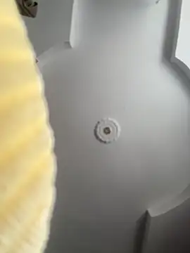 Snapshot of emiss_ chatting on October 8, 2025, 2:14 pm emiss online show from October 8, 2025, 2:14 pm