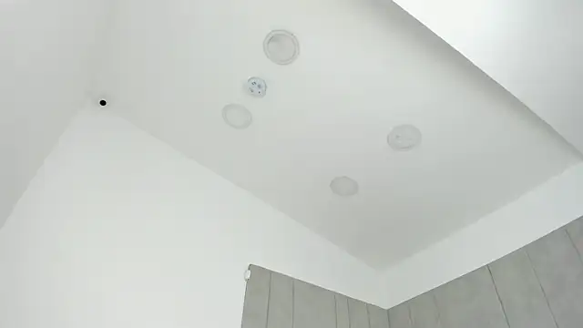 tamyleen online show from April 15, 2026, 10:22 am