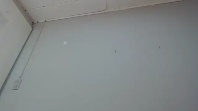 Emma-Wilson online show from March 14, 2025, 2:19 pm