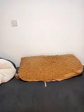 Snapshot of MISS_LOVE091 chatting on January 19, 2025, 6:10 pm MISS LOVE091 online show from January 19, 2025, 6:10 pm
