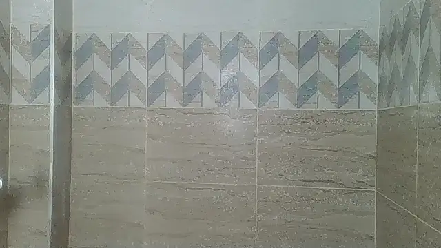 Fine assie online show from October 15, 2025, 12:49 pm