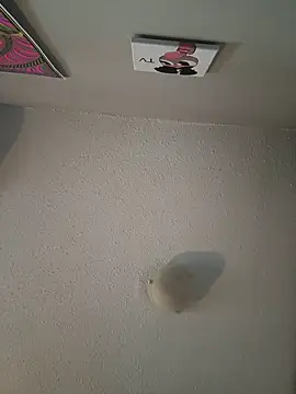 Your Paris online show from February 9, 2025, 3:23 pm