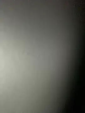 Snapshot of Leyna_liu chatting on February 4, 2025, 8:46 am Leyna liu online show from February 4, 2025, 8:46 am