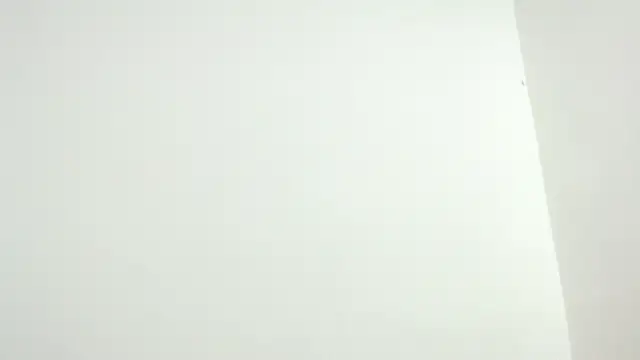 isaaclatino online show from November 27, 2025, 4:03 am