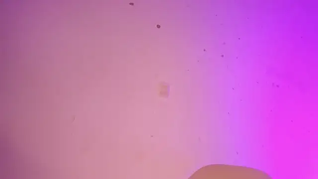 Tahira 21  online show from January 22, 2025, 10:37 pm