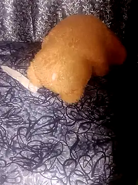 shuhana  online show from January 21, 2025, 1:18 am