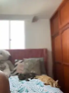 ValerieHilton online show from March 12, 2025, 9:13 pm