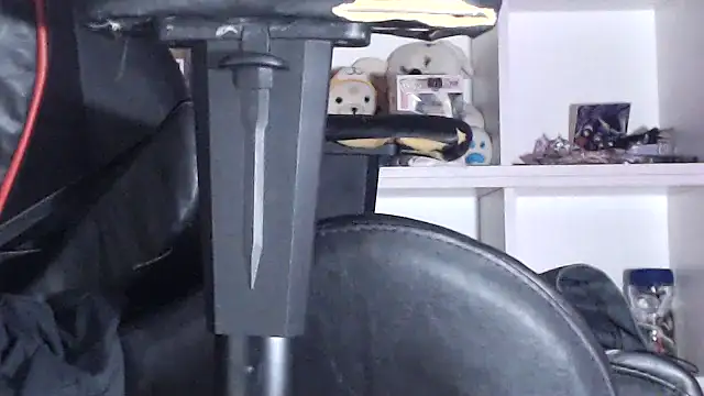 LapijARG7 online show from March 1, 2025, 9:59 pm