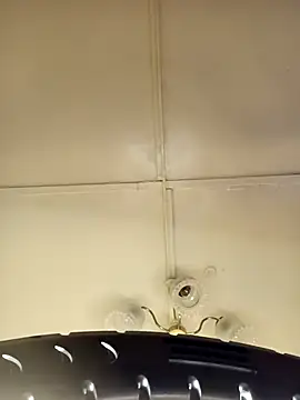    Midnight    online show from March 15, 2026, 2:06 am