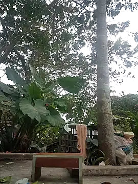 zizi public online show from December 30, 2024, 7:26 am