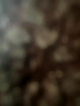 FrutenFratenR9 online show from November 11, 2025, 11:21 am