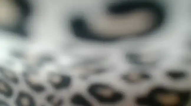 CrystalBrooke3x online show from January 26, 2025, 2:03 am