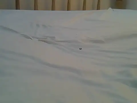 Mercydiva online show from February 9, 2026, 7:23 am