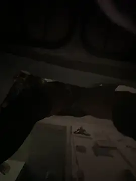 Mune Raez 6 online show from September 18, 2025, 4:42 pm