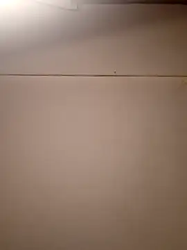 Snapshot of AmazonianMistress chatting on September 21, 2025, 1:57 pm AmazonianMistress online show from September 21, 2025, 1:57 pm