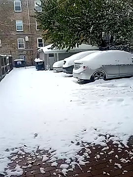 Snapshot of AmazonianMistress chatting on November 10, 2025, 7:35 pm AmazonianMistress online show from November 10, 2025, 7:35 pm