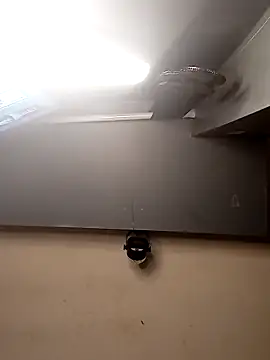 Snapshot of AmazonianMistress chatting on December 1, 2025, 2:44 pm AmazonianMistress online show from December 1, 2025, 2:44 pm