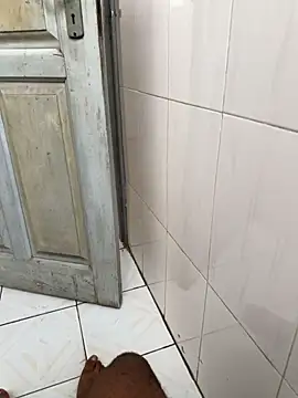 Black-mamba-madingo online show from January 15, 2026, 10:53 am