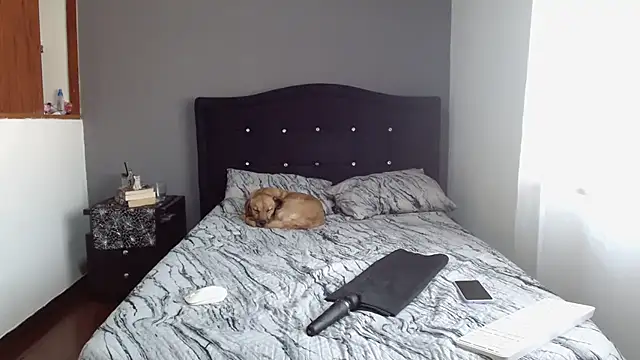 Emilia 1995 online show from February 11, 2025, 12:48 pm