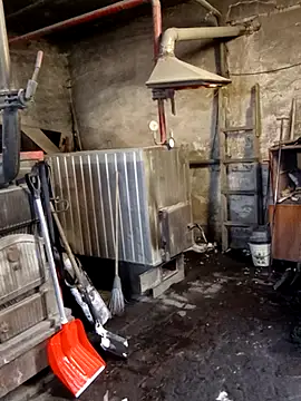 MityaXLoves online show from January 19, 2026, 7:01 am