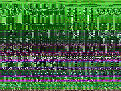 Snapshot of iamMalixxx chatting on July 9, 2026, 2:10 pm iamMalixxx online show from July 9, 2026, 2:10 pm