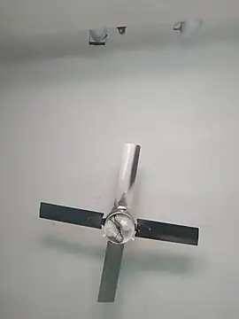 nicedick bro online show from October 6, 2025, 6:38 pm