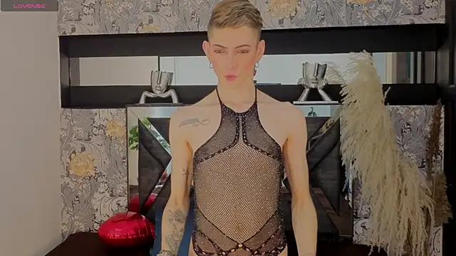 Snapshot of dominic_thailor chatting on February 13, 2026, 10:06 pm dominic thailor online show from February 13, 2026, 10:06 pm