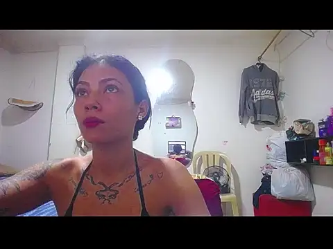 harry lia  online show from December 3, 2025, 7:45 pm