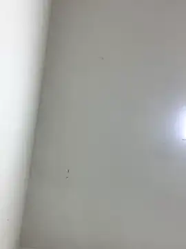 LinnaGardenia online show from October 1, 2025, 5:41 pm