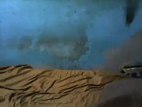 Snapshot of little__joy chatting on March 1, 2025, 2:37 am little  joy online show from March 1, 2025, 2:37 am