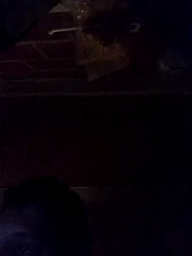 Snapshot of Elvergon3456 chatting on October 28, 2025, 4:49 am Elvergon3456 online show from October 28, 2025, 4:49 am