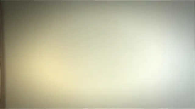 Elation Evy online show from April 19, 2026, 3:55 pm