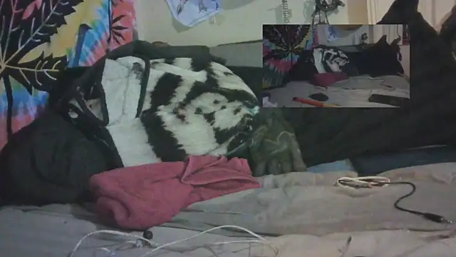 jaxx12369 online show from February 11, 2025, 12:17 am