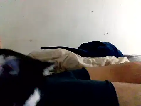 Snapshot of yass56789 chatting on November 15, 2025, 11:54 pm yass56789 online show from November 15, 2025, 11:54 pm