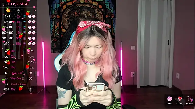 Project hisoka online show from January 15, 2026, 4:06 am