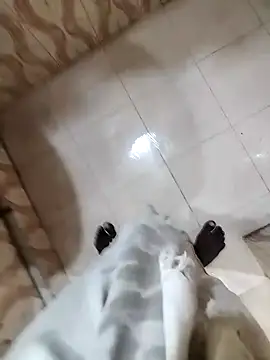 bas1cooks online show from December 22, 2024, 5:34 am