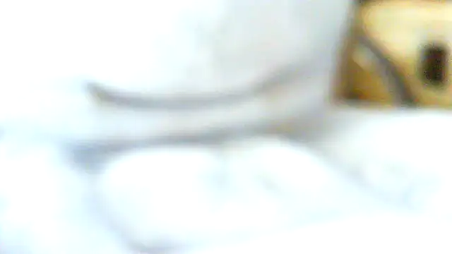 volficxh online show from April 5, 2026, 8:44 am