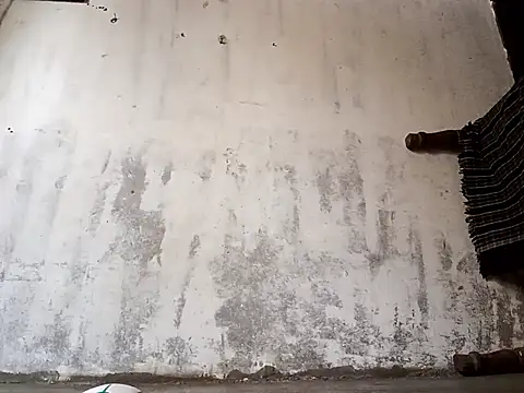 Yasha 14C Creator online show from January 17, 2026, 5:01 am