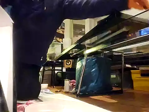 0815lukas2024 online show from December 7, 2024, 3:25 am