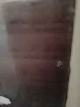 Snapshot of hardgetsex chatting on September 29, 2025, 9:08 pm hardgetsex online show from September 29, 2025, 9:08 pm