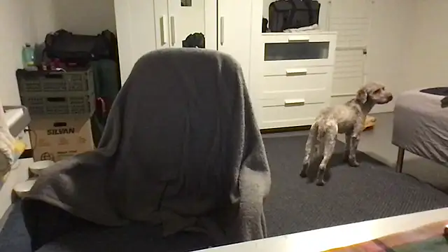 Totipro69 online show from February 16, 2025, 7:05 pm