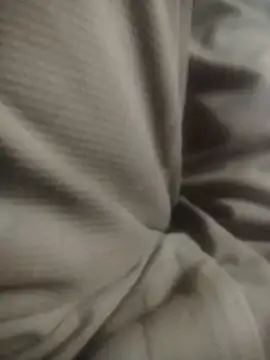 Snapshot of Working- chatting on December 17, 2025, 12:11 pm Working- online show from December 17, 2025, 12:11 pm