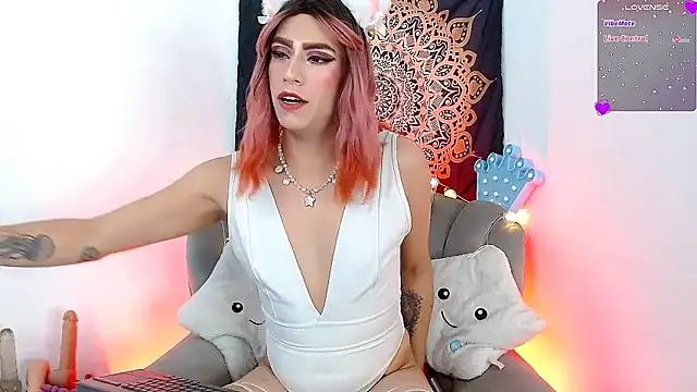 tevenwhiite online show from February 5, 2025, 9:25 am