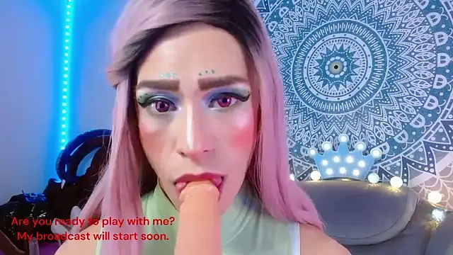 tevenwhiite online show from October 7, 2025, 2:36 pm