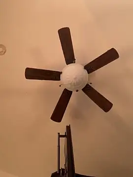 holyeroticss online show from November 28, 2025, 12:13 am