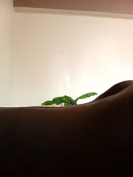 Snapshot of JemaimaPrincess chatting on March 4, 2025, 8:24 am JemaimaPrincess online show from March 4, 2025, 8:24 am