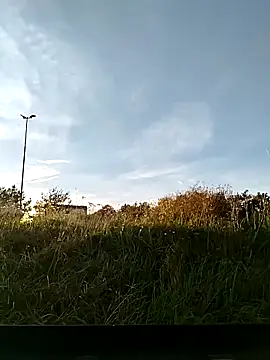 cuplubijoanna online show from November 5, 2025, 3:01 pm