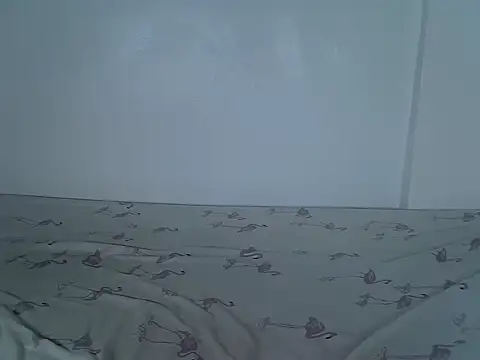 laetitia  online show from November 11, 2025, 5:13 pm